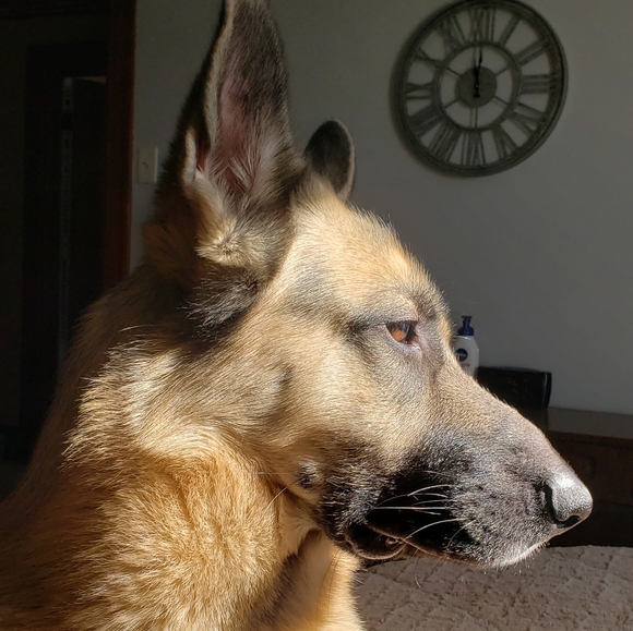 Meet your Posher, Hannah - Picture 5 of 5